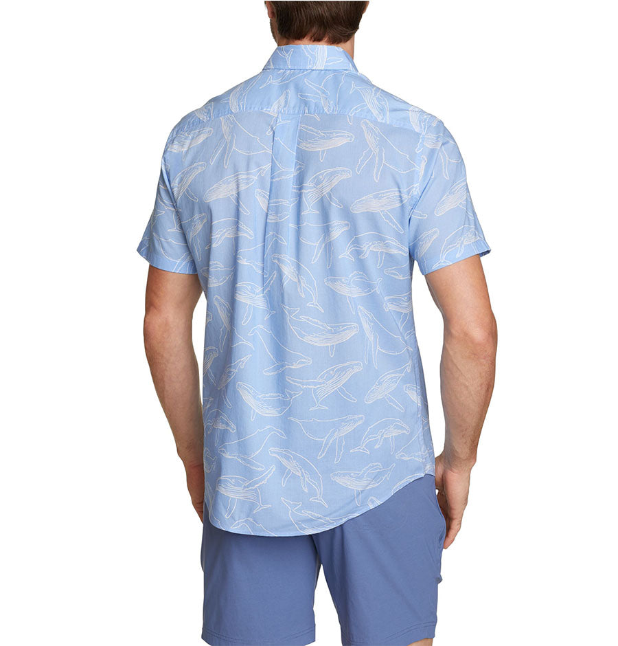 CAMISA HOMBRE KINGSTON MANGA CORTA / EDDIE BAUER