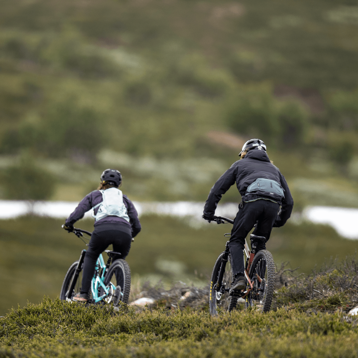 Riñonera Rail 2L / THULE