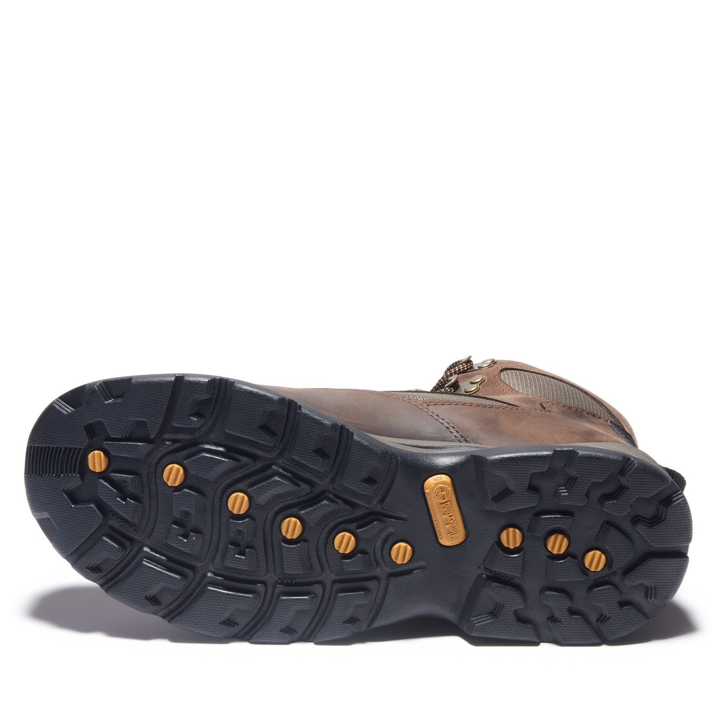 Botas Timberland Chocorua Trail Mid Café | Outdoor Adventure Colombia