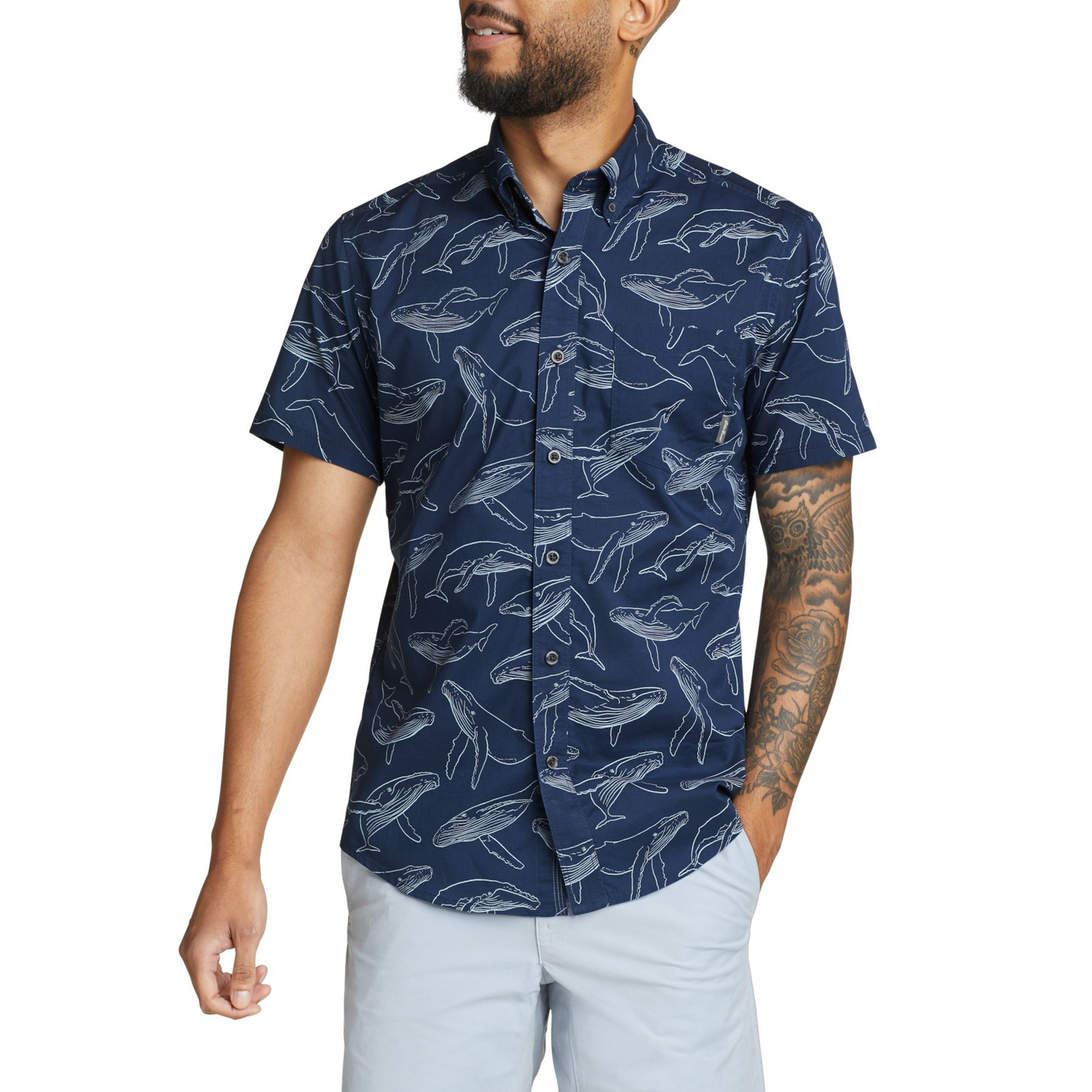 Camisa Eddie Bauer Baja Hombre Azul | Outdoor Adventure Colombia