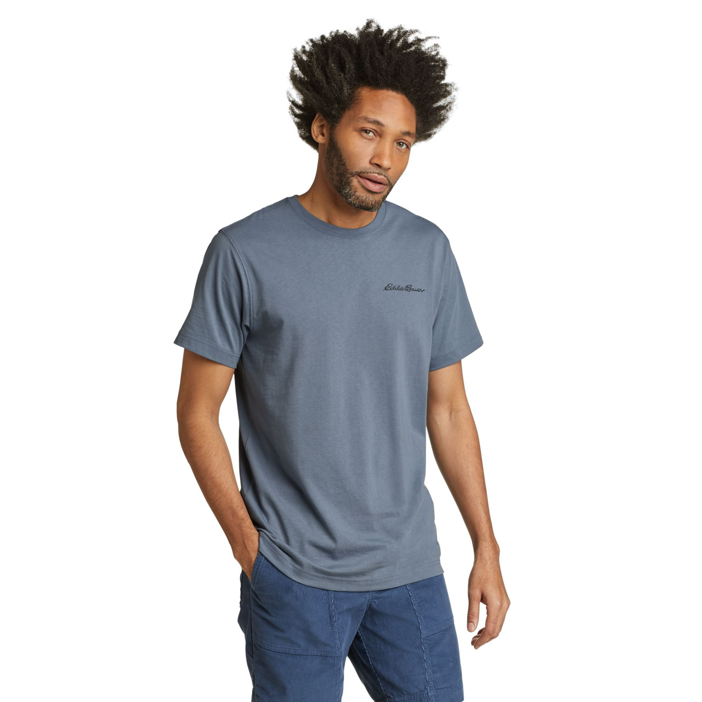 Camiseta Eddie Bauer Stus Scene Gris | Outdoor Adventure Colombia