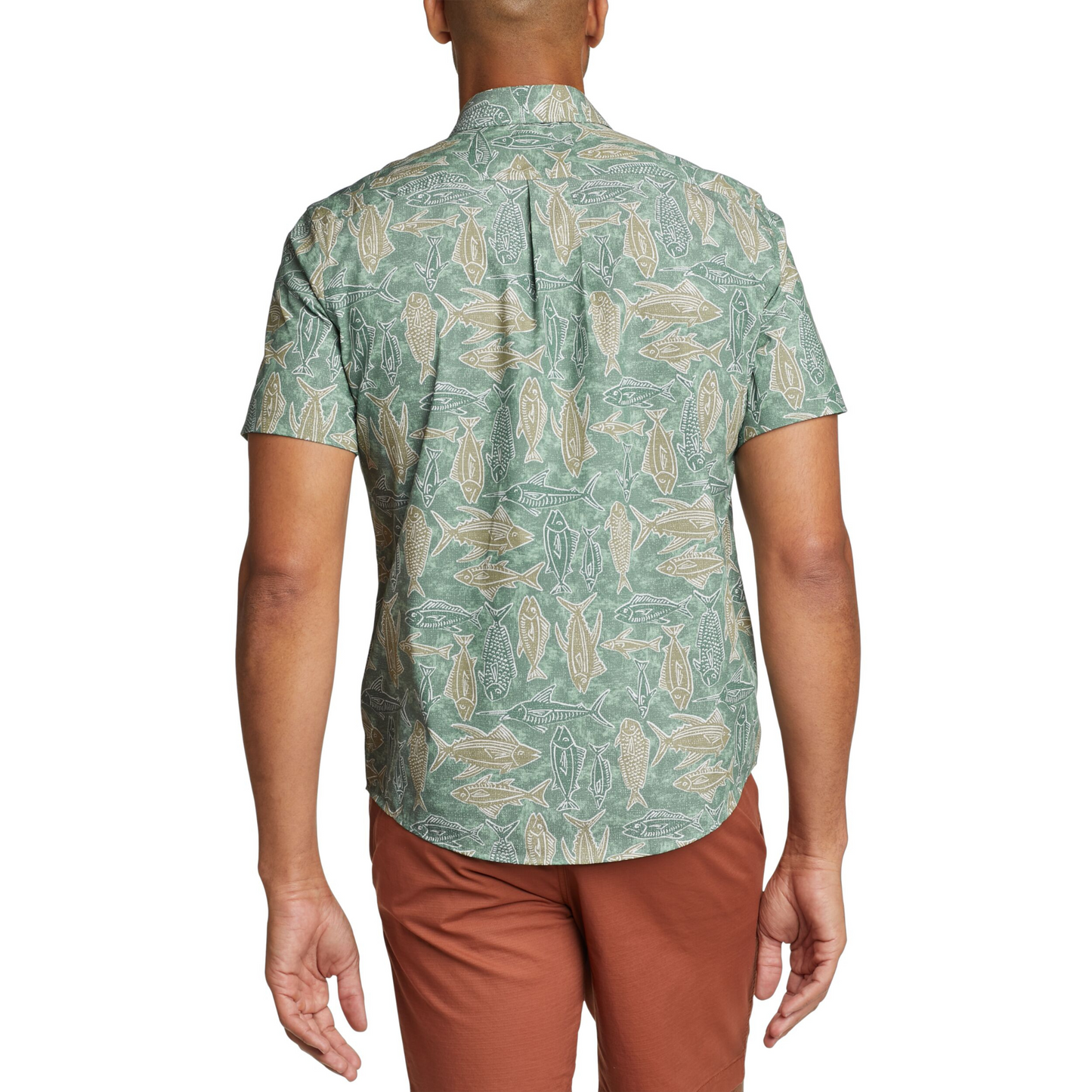 Camisa Adventurer Flex Eddie Bauer Verde | Outdoor Adventure Colombia