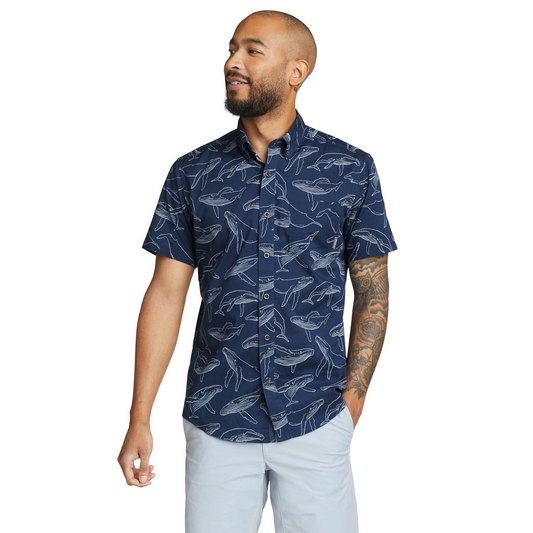 Camisa Eddie Bauer Baja Hombre Azul | Outdoor Adventure Colombia