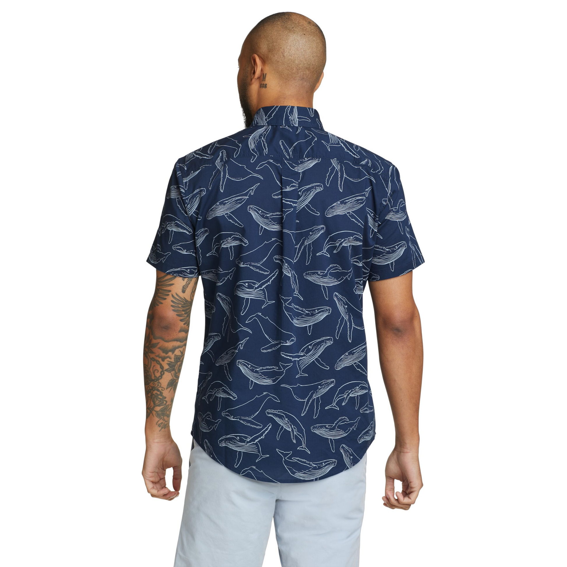 Camisa Eddie Bauer Baja Hombre Azul | Outdoor Adventure Colombia
