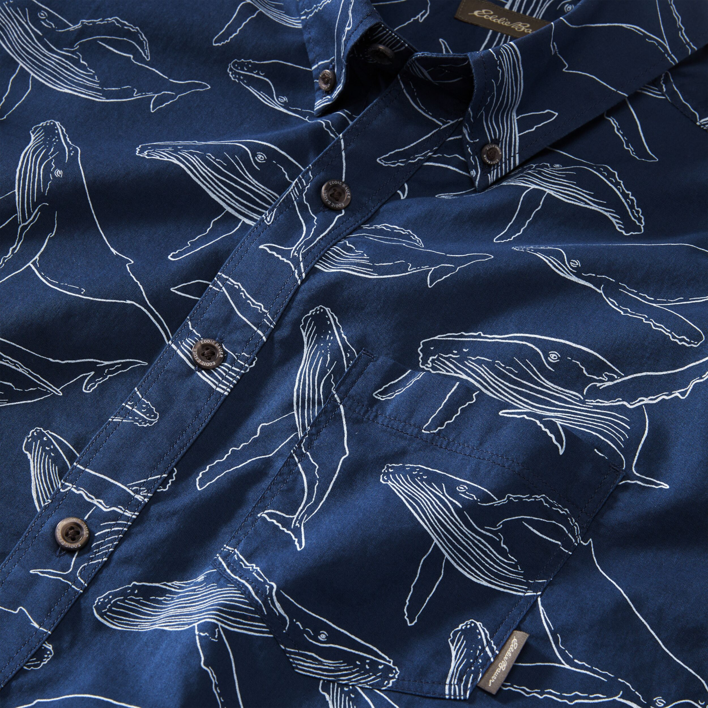 Camisa Eddie Bauer Baja Hombre Azul | Outdoor Adventure Colombia