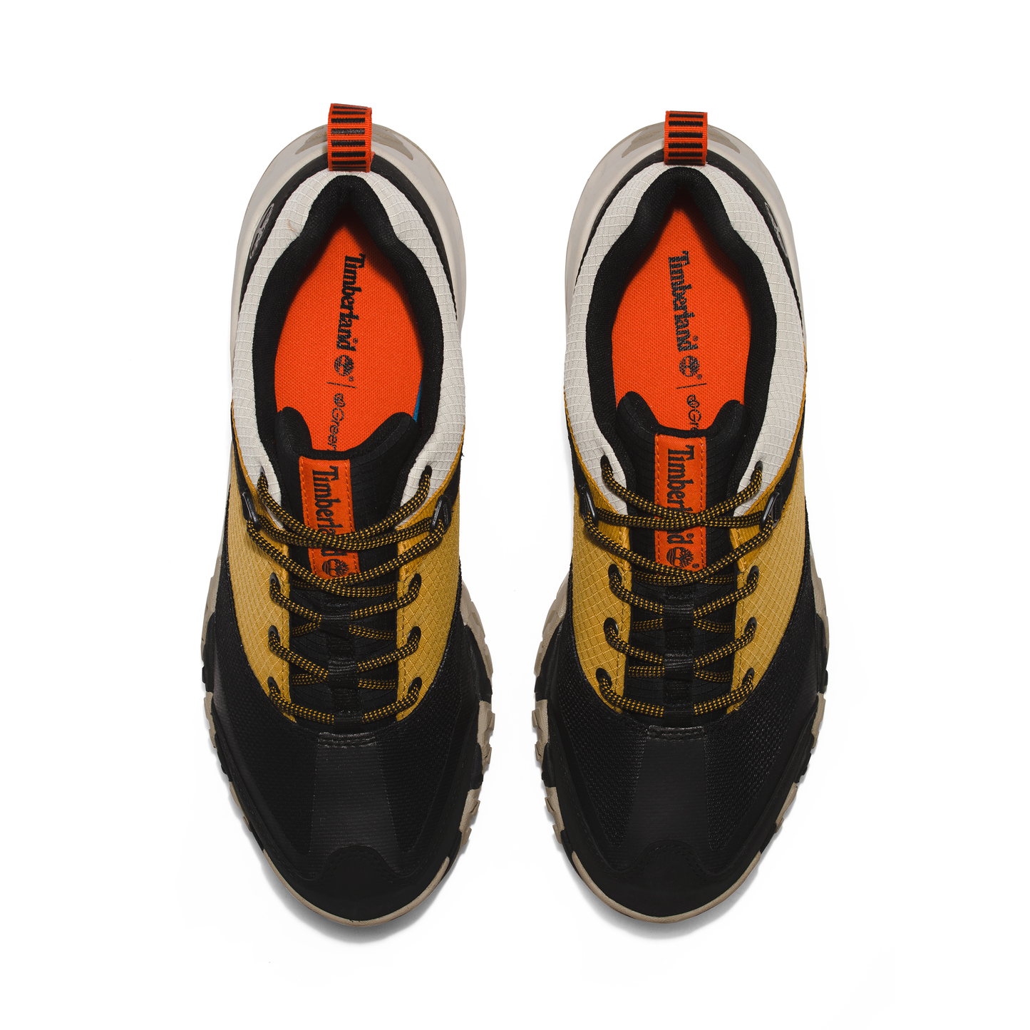 Tenis Zapatos Timberland Trailquest Low Hombre | Outdoor Adventure Colombia
