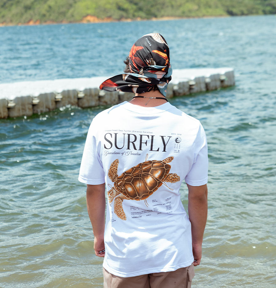 SUETER HOMBRE/ TORTUGA AMARRADA