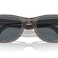 LENTES / WAYFARER / Ray-Ban
