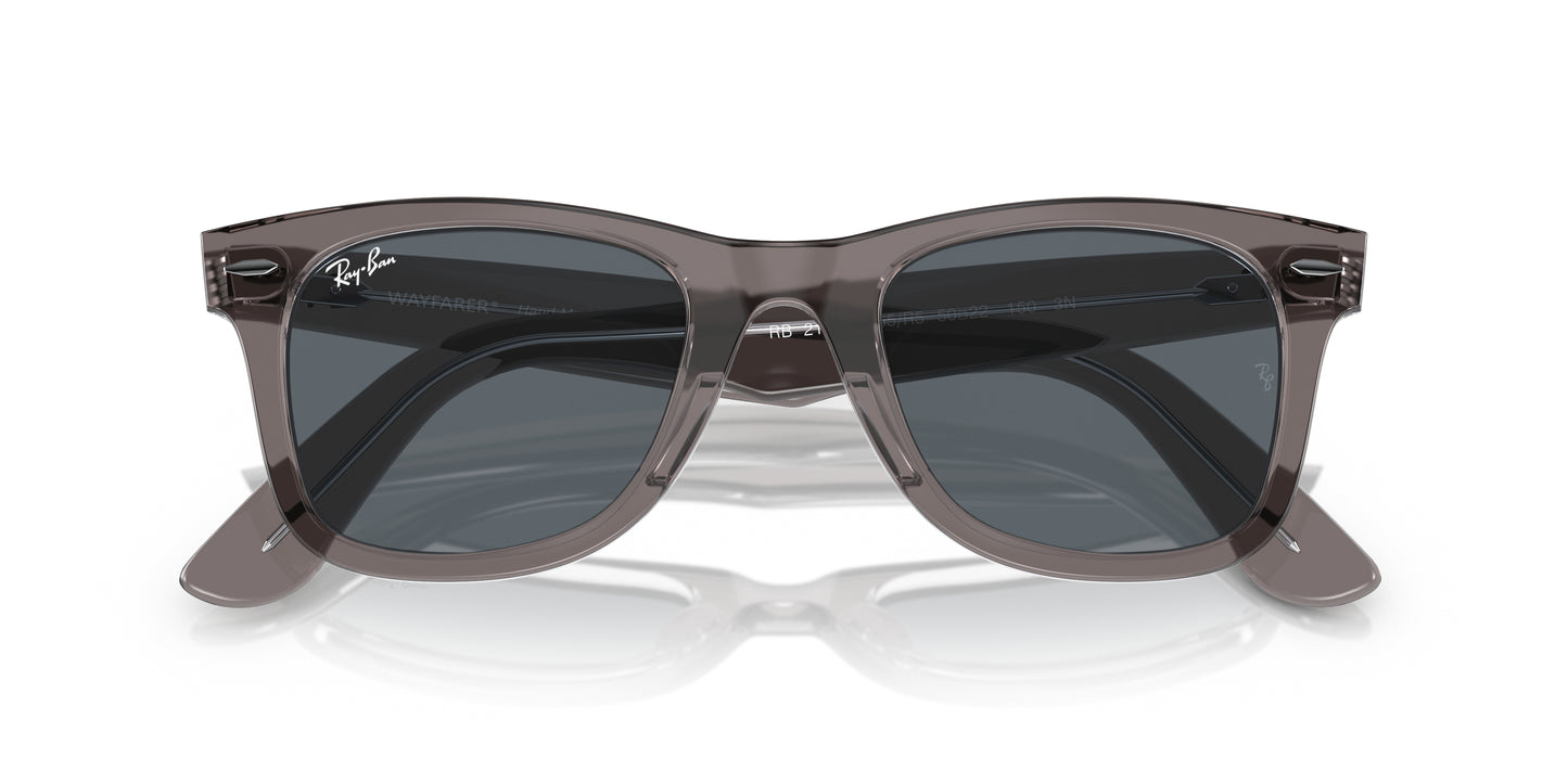 LENTES / WAYFARER / Ray-Ban