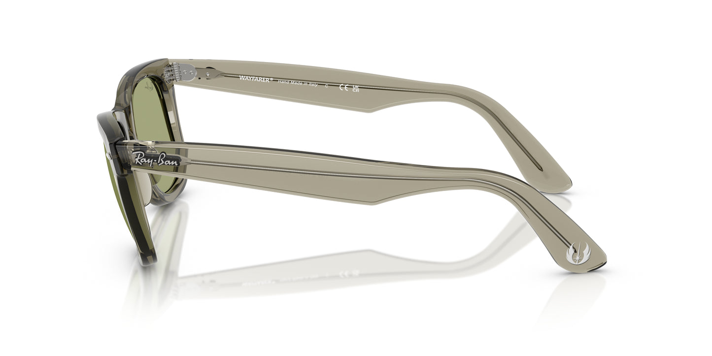 LENTES / WAYFARER / Ray-Ban