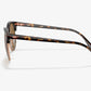 LENTES / CLUBMASTER / Ray-Ban