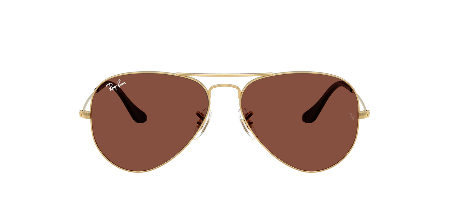 LENTES / AVIATOR / Ray-Ban