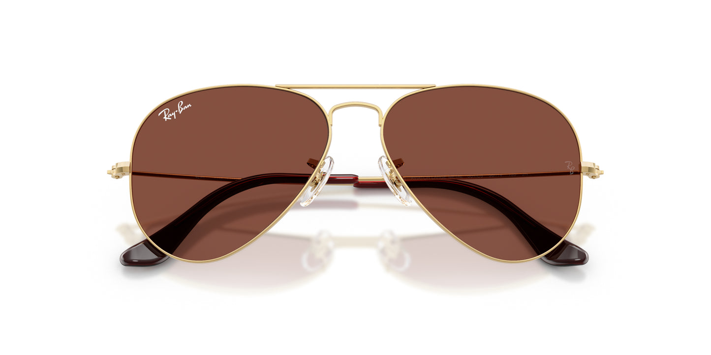 LENTES / AVIATOR / Ray-Ban