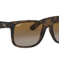 LENTES / JUSTIN / Ray-Ban
