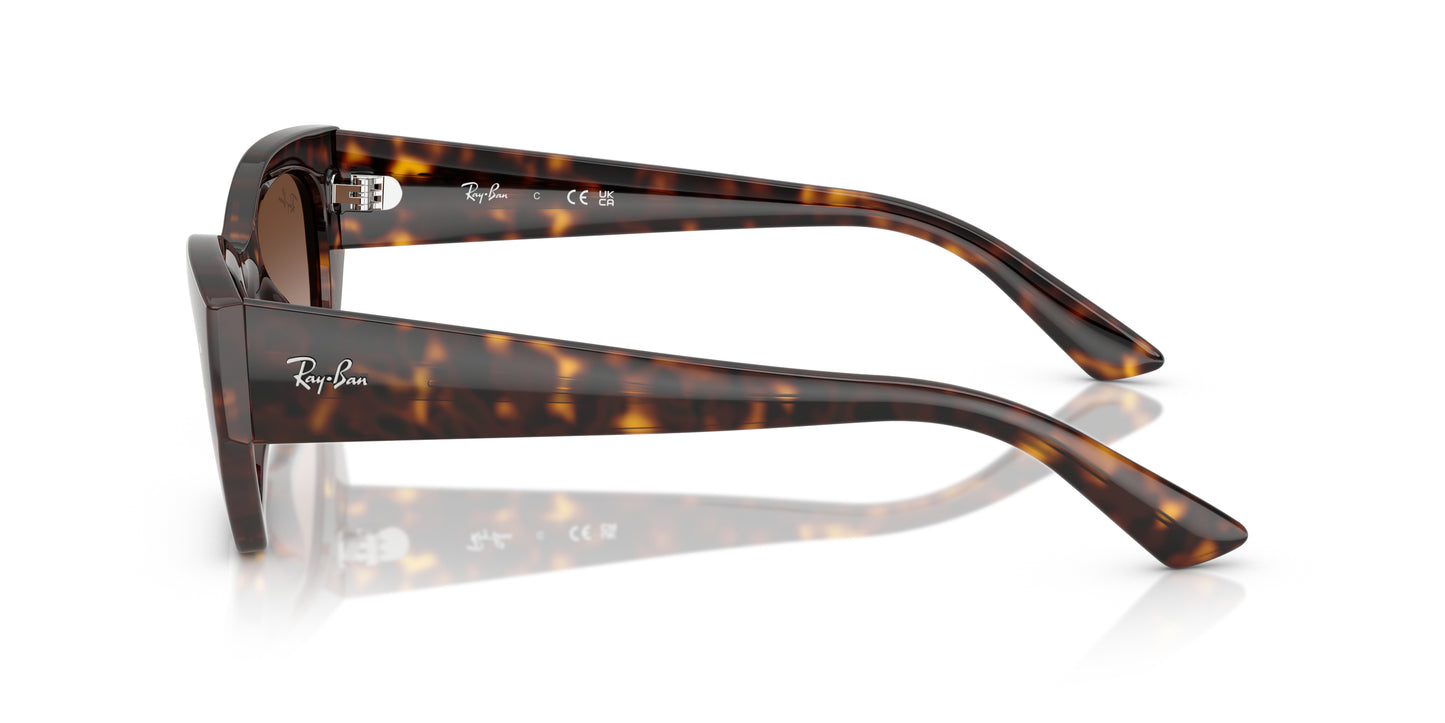 LENTES / ZENA / Ray-Ban
