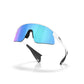 LENTES / STUNT DEVIL / OAKLEY