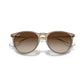LENTES / ERIKA / RAY-BAN