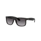 LENTES / JUSTIN / Ray-Ban