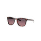 LENTES / SULLIVAN / COSTA