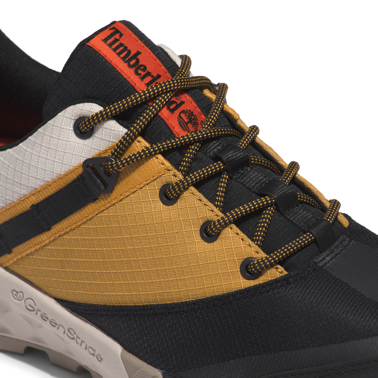 Tenis Zapatos Timberland Trailquest Low Hombre | Outdoor Adventure Colombia