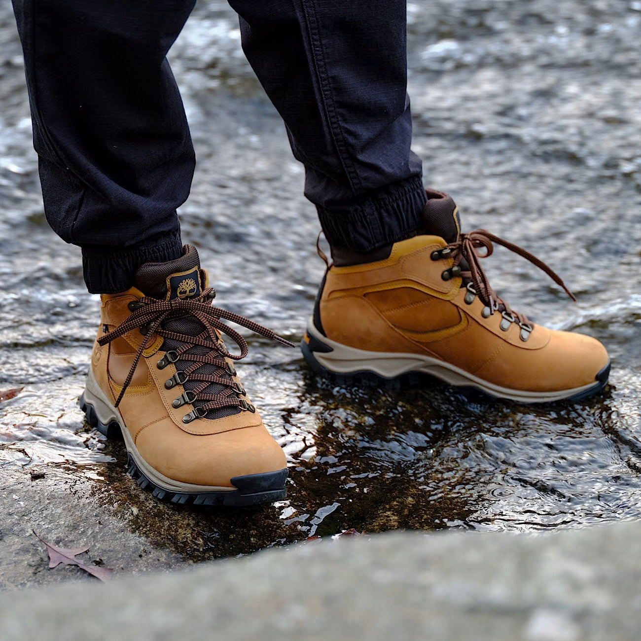 BOTA HOMBRE MT. MADDSEN MID LEATHER WP / TIMBERLAND