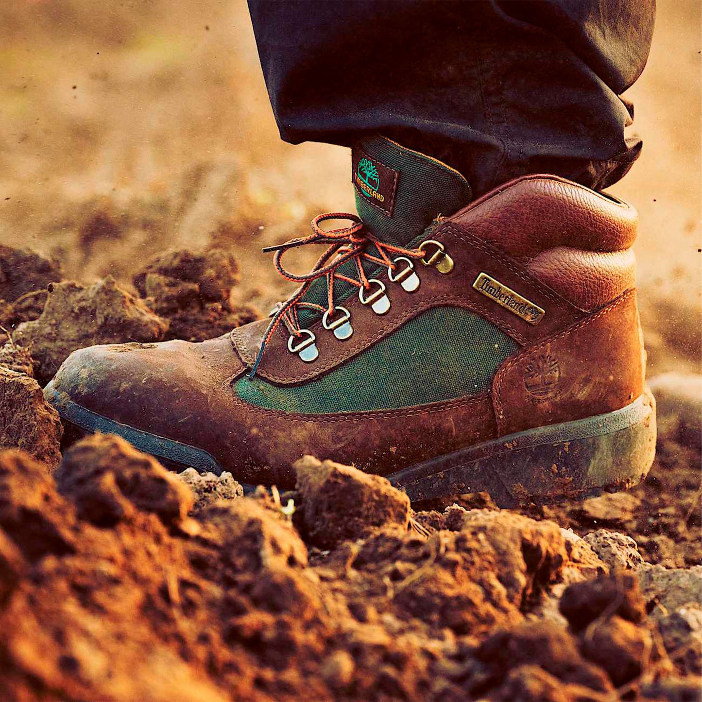 BOTA HOMBRE/ FIELD BOOT F/L WP / TIMBERLAND